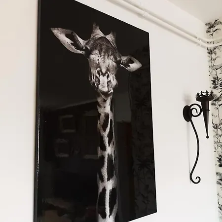 F3 Proche Centre-ville - Cote Blatin Apartment