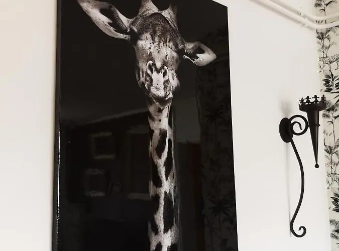 F3 Proche Centre-ville - Cote Blatin Apartment